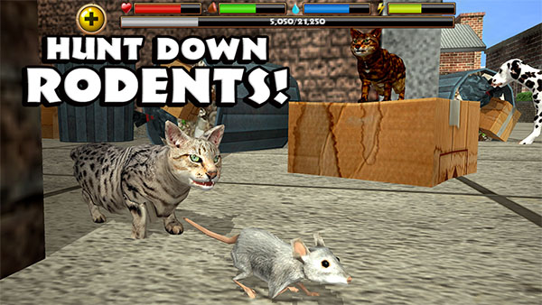 流浪猫模拟器手机版(StrayCatSim)