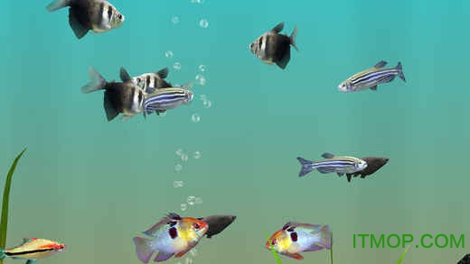我的水族箱3D(MyLake 3D Aquarium)
