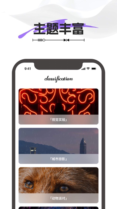 兔兔壁纸