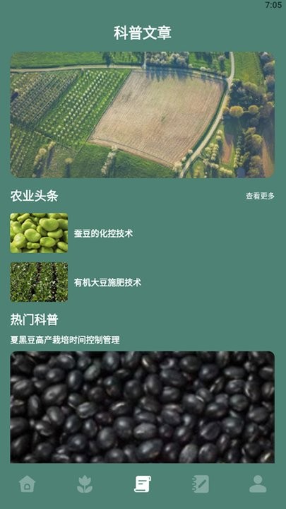 种植物语 安卓版v1.1