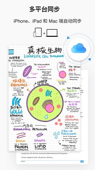 goodnotes5 ios版