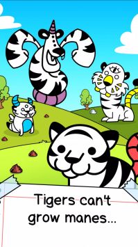 老虎进化Tiger Evolution