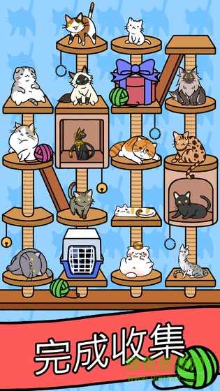 猫咪公寓喵友日记