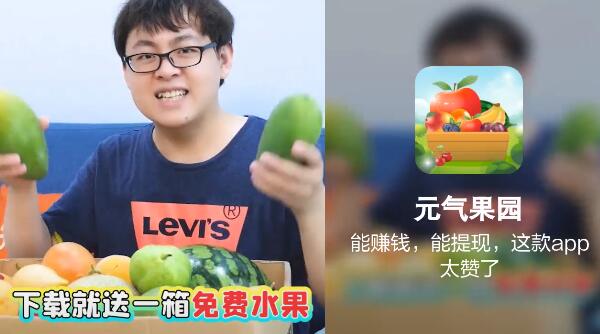 元气果园