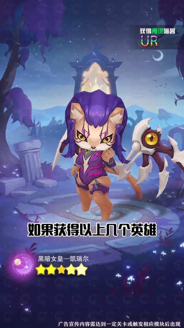 猫咪联盟
