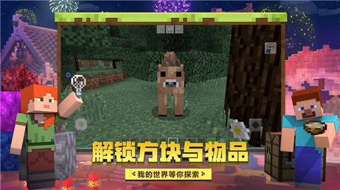 我的世界1.16.0.67