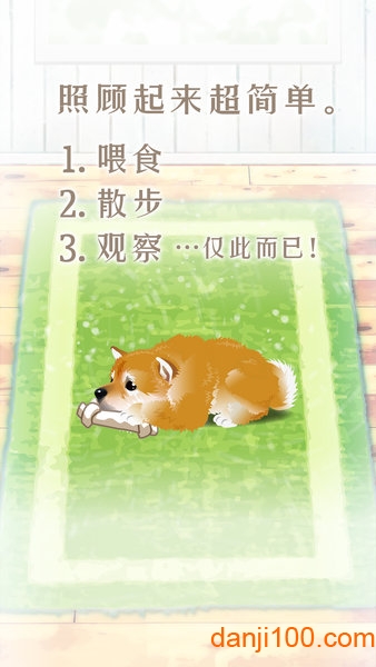 养育柴犬的治愈游戏