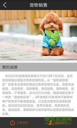 东莞sogood宠物俱乐部(宠物寄养)
