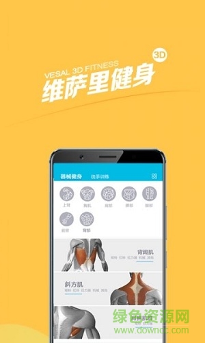 维萨里健身