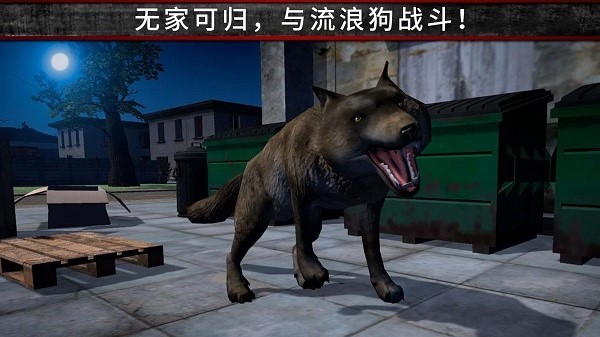 荒野流浪记 荒野流浪记