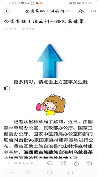 大美互助