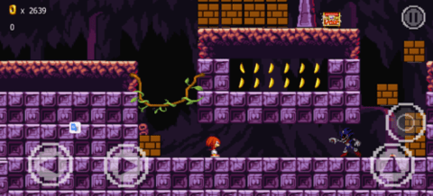 索尼克exe精神地狱5.0