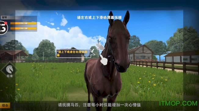相马大师