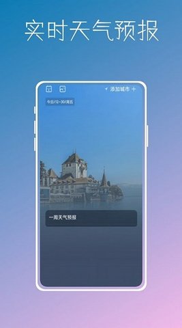 数字温度计鸭
