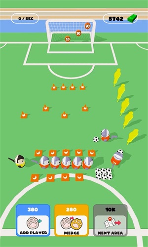 猫足球训练Cats Football Training