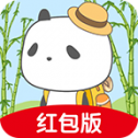 熊猫去哪儿