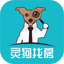 灵狗找房