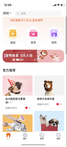 财猫双犬