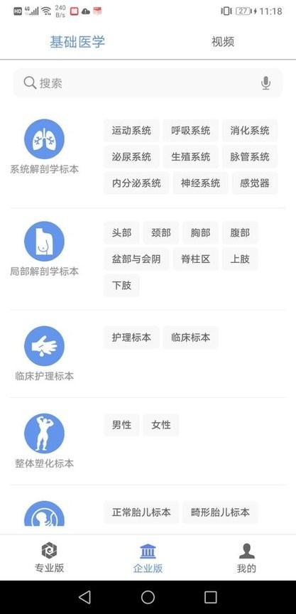 医维度人体解剖