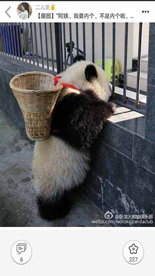 柚次元旧版安装包