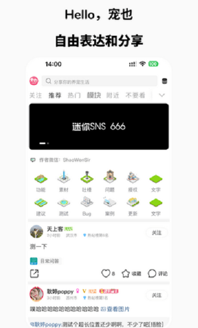 宠也