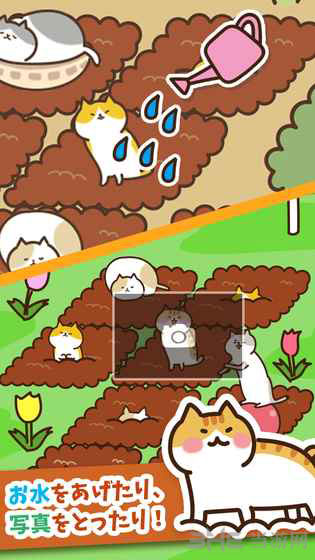 猫咪田园破解版 安卓版v2.2.2