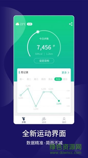 计步大师