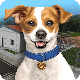 动物收容所模拟器(Animal Shelter Simulator)