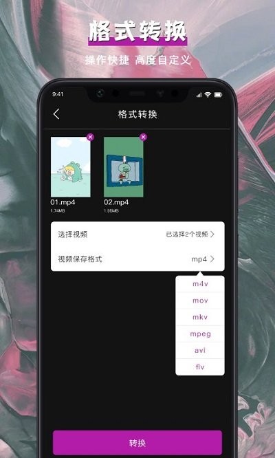 视频格式转换大师