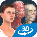 Human body (female)