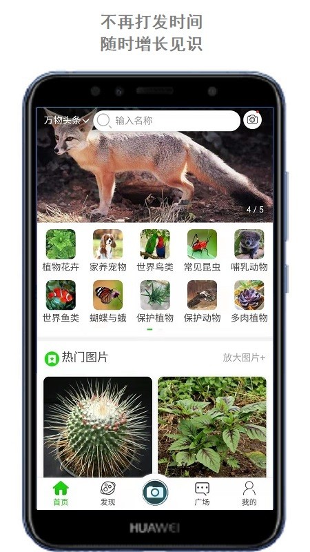 万物头条