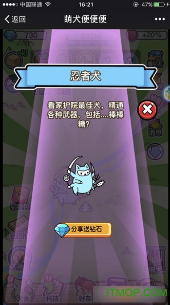 萌犬便便便 萌犬便便便