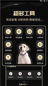 人狗交流神器