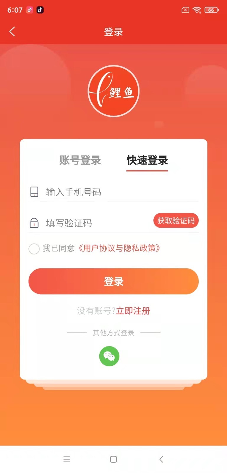 鲤鱼商汇