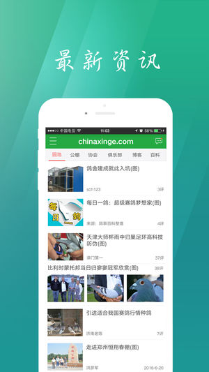 中国信鸽信息网