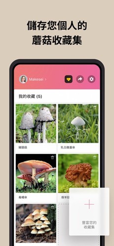 二维码手机扫一扫