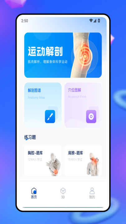 3d人体模型