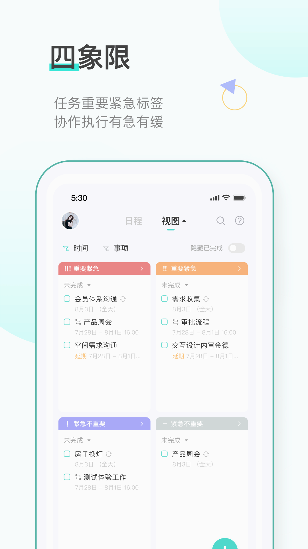 飞项