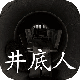 孙美琪疑案井底人苹果版