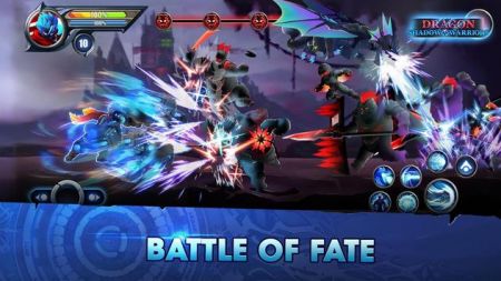 Dragon Shadow :Legend Warriors