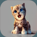 真实小猫3d模拟