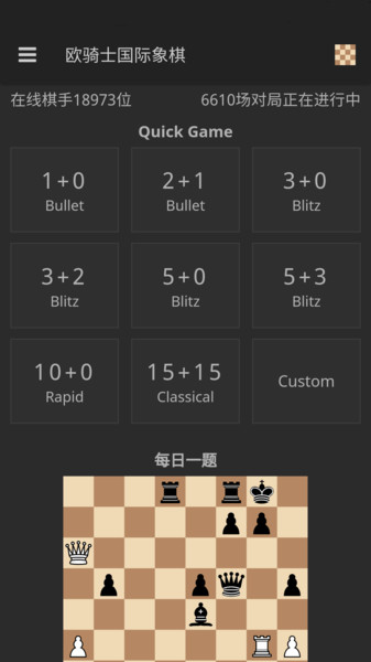 国际象棋软件