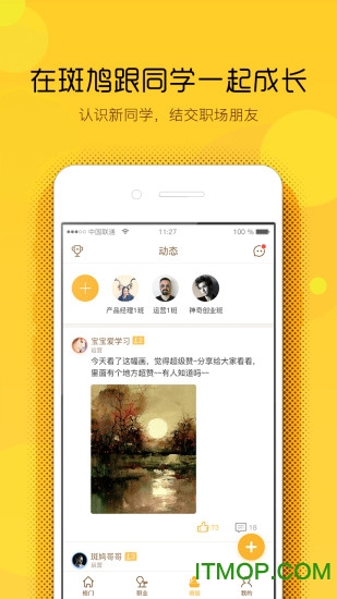 斑鸠职业