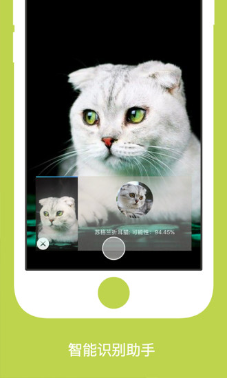 coveer相机app