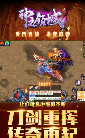 傲天神之领域