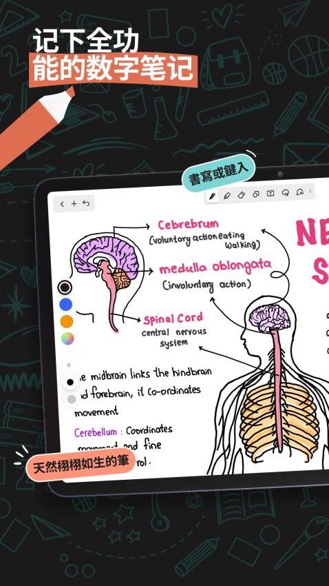 Noteshelf 3官方版