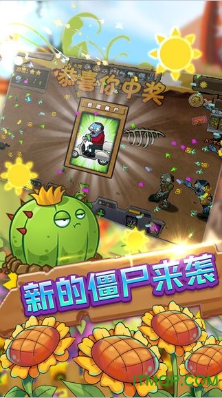 保卫向日葵 保卫向日葵