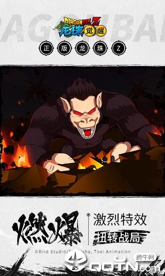 龙珠觉醒 龙珠觉醒