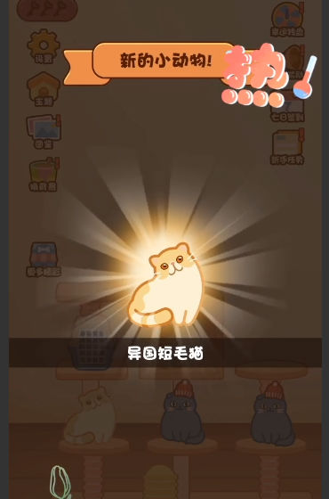猫星人最强