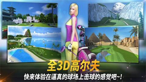 高尔夫之星（国际服）安装器